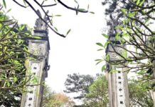 HOẠT ĐỘNG CHI BỘ KHOA TACN